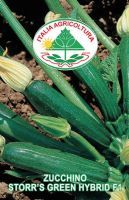 Zucchino storr's green hybrid f1